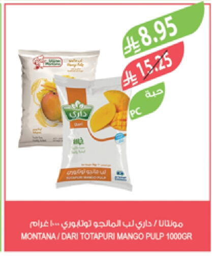 Mango available at Farm  in KSA, Saudi Arabia, Saudi - Jazan