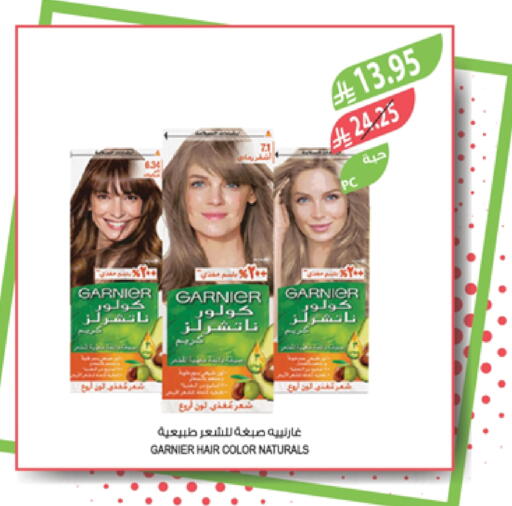 GARNIER Hair Colour available at Farm  in KSA, Saudi Arabia, Saudi - Najran
