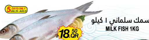 available at قصر الأغذية هايبرماركت in قطر - أم صلال