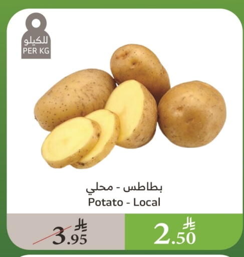 بطاطا available at الراية in مملكة العربية السعودية, السعودية, سعودية - أبها