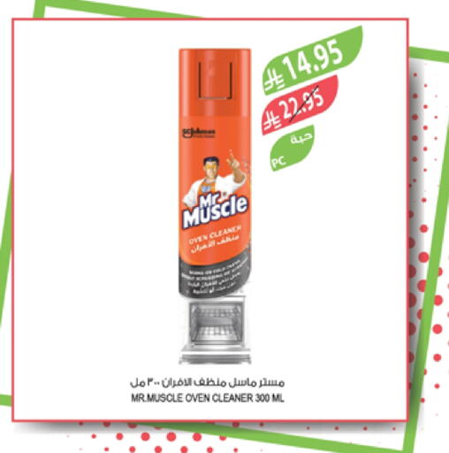 Cleaning in Farm , Saudi Arabia Offers - Saudi Arabia MR. MUSCLE General Cleaner available at Farm in KSA, Saudi Arabia, Saudi - Sakaka