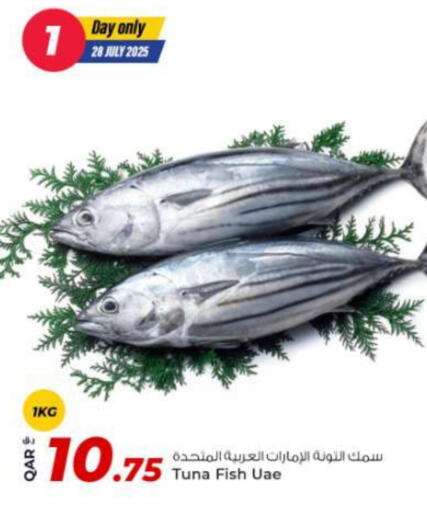 تونة available at روابي هايبرماركت in قطر - أم صلال