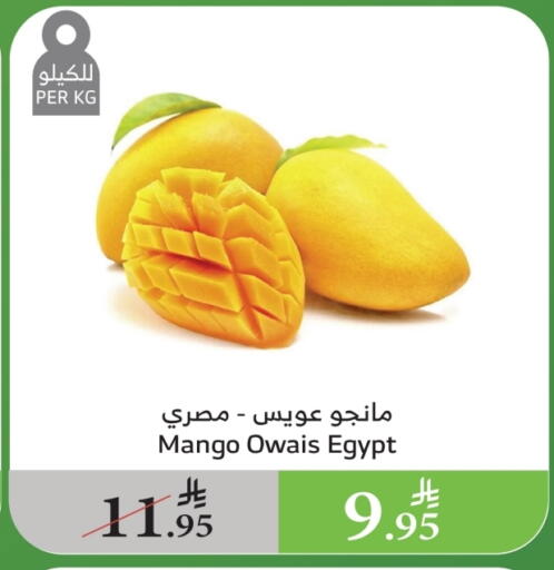 Mangoes from Egypt available at Al Raya in KSA, Saudi Arabia, Saudi - Khamis Mushait
