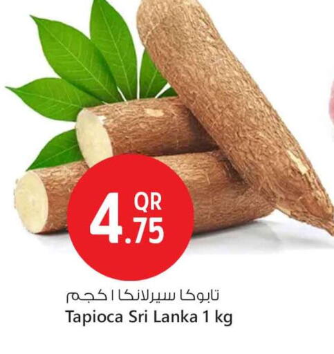 available at سفاري هايبر ماركت in قطر - الشمال