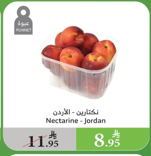 Nectarine from Jordan available at Al Raya in KSA, Saudi Arabia, Saudi - Abha
