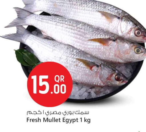 available at سفاري هايبر ماركت in قطر - أم صلال