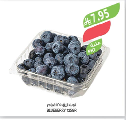 Berries available at Farm  in KSA, Saudi Arabia, Saudi - Abha