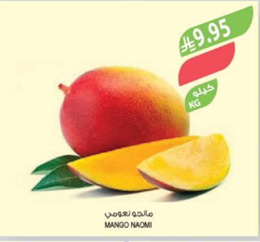 Mangoes available at Farm  in KSA, Saudi Arabia, Saudi - Khafji