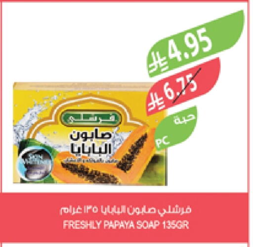 Papaya available at Farm  in KSA, Saudi Arabia, Saudi - Al Bahah