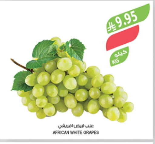 Grapes available at Farm  in KSA, Saudi Arabia, Saudi - Abha