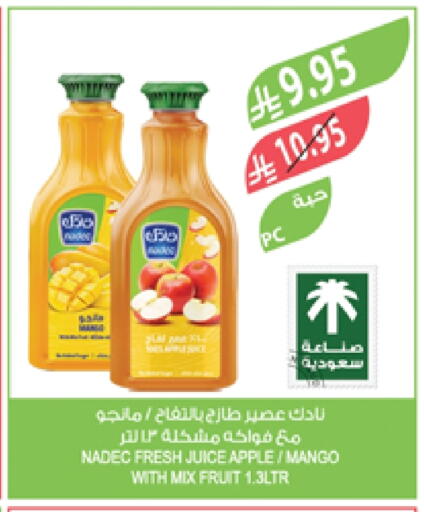 NADEC available at Farm  in KSA, Saudi Arabia, Saudi - Tabuk