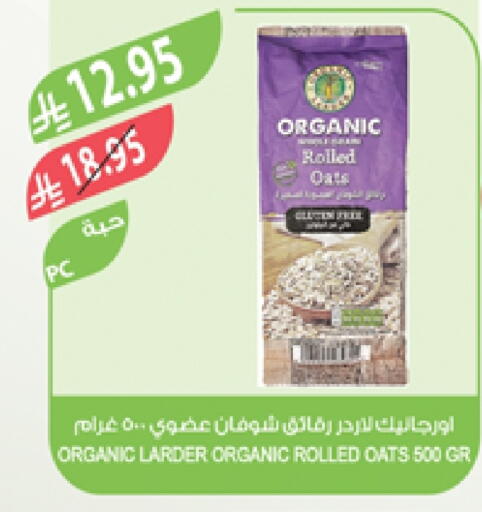 Oats available at Farm  in KSA, Saudi Arabia, Saudi - Al-Kharj