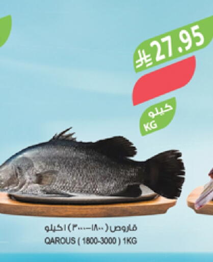 available at Farm  in KSA, Saudi Arabia, Saudi - Qatif