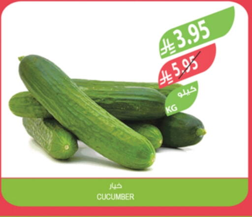 Cucumber available at Farm  in KSA, Saudi Arabia, Saudi - Hafar Al Batin