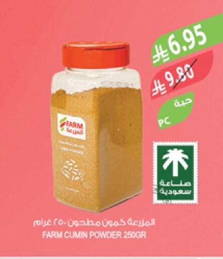 Spices available at Farm  in KSA, Saudi Arabia, Saudi - Dammam