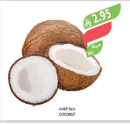 Coconut available at Farm  in KSA, Saudi Arabia, Saudi - Yanbu