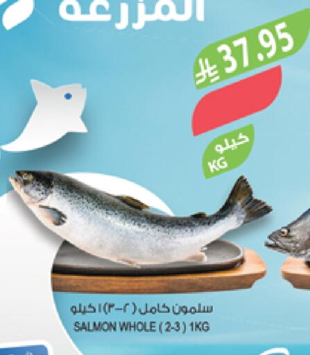 available at Farm  in KSA, Saudi Arabia, Saudi - Qatif