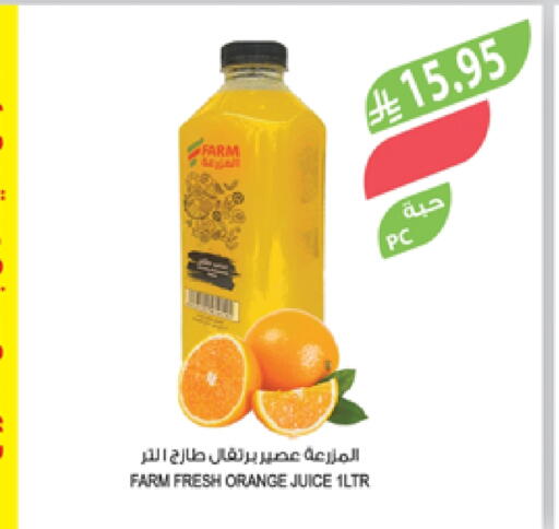 Orange available at Farm  in KSA, Saudi Arabia, Saudi - Jazan
