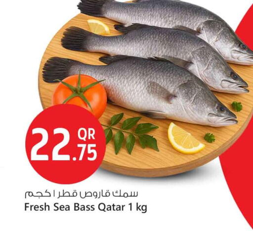 available at سفاري هايبر ماركت in قطر - أم صلال