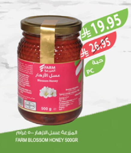 Honey available at Farm  in KSA, Saudi Arabia, Saudi - Dammam