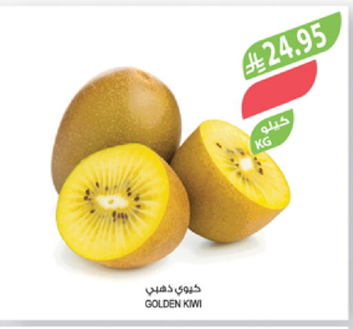 Kiwi available at Farm  in KSA, Saudi Arabia, Saudi - Abha
