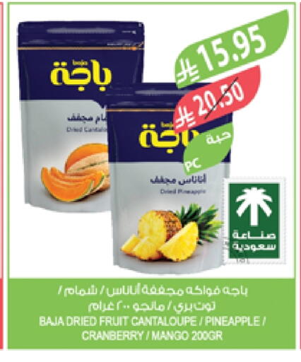 Cantaloupe Pineapple Cranberry Mango available at Farm  in KSA, Saudi Arabia, Saudi - Yanbu