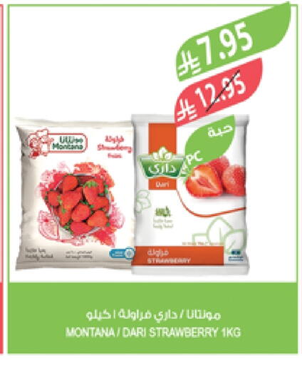 Strawberry available at Farm  in KSA, Saudi Arabia, Saudi - Jazan
