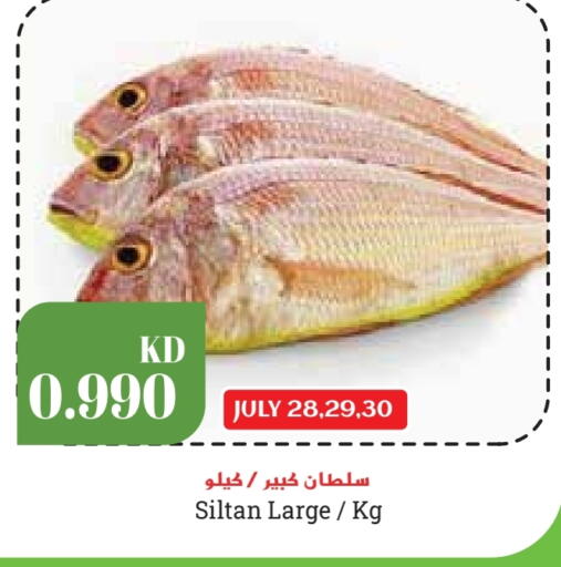 available at Grand Hyper in Kuwait - Kuwait City