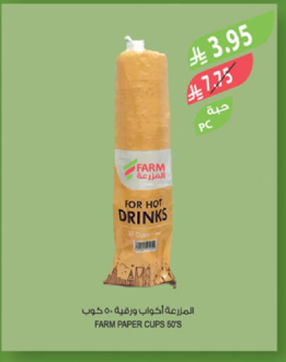 Cup available at Farm  in KSA, Saudi Arabia, Saudi - Saihat