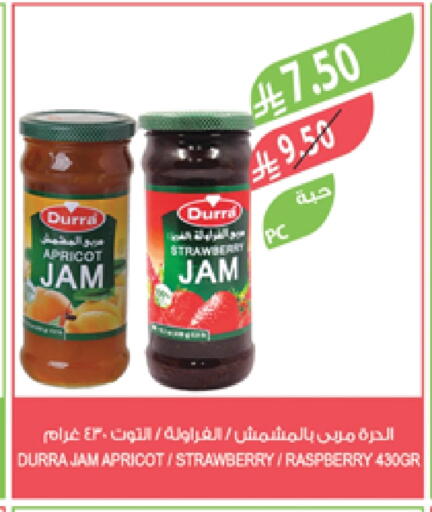 درة مربى available at المزرعة in مملكة العربية السعودية, السعودية, سعودية - عرعر