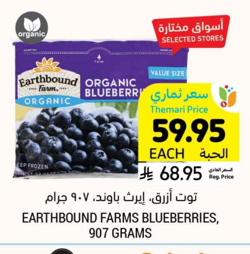 Blueberry BlueBerry available at Tamimi Market in KSA, Saudi Arabia, Saudi - Hafar Al Batin