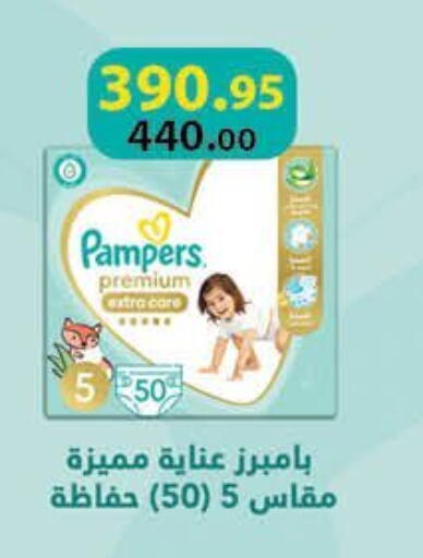 Pampers available at Mahmoud El Far in Egypt - Cairo