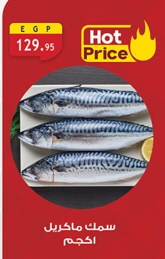 available at Al Rayah Market   in Egypt - Cairo