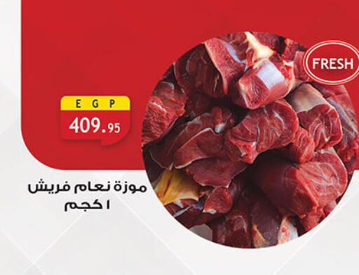 available at Al Rayah Market   in Egypt - Cairo