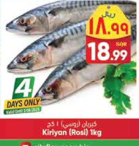 available at ستي فلاور in مملكة العربية السعودية, السعودية, سعودية - حائل‎