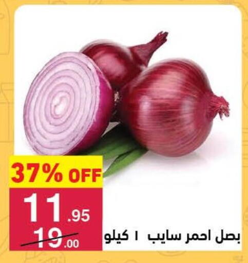 Onion available at Mahmoud El Far in Egypt - Cairo