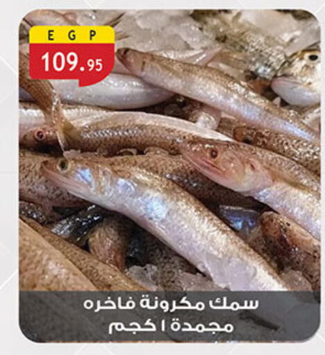 available at Al Rayah Market   in Egypt - Cairo