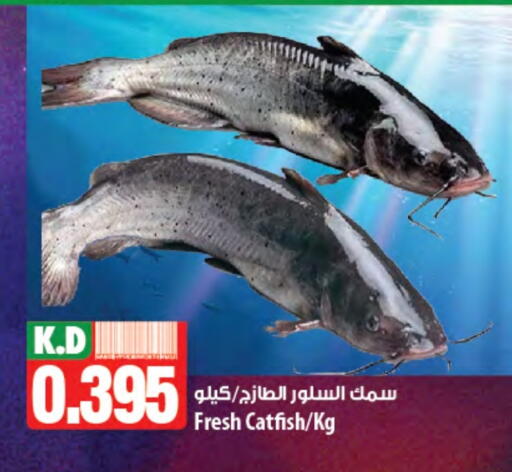 Mango available at مانجو هايبرماركت in الكويت - محافظة الأحمدي