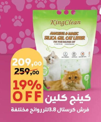 Pets in Mahmoud El Far, Egypt Offers - Egypt available at Mahmoud El Far in Egypt - Cairo