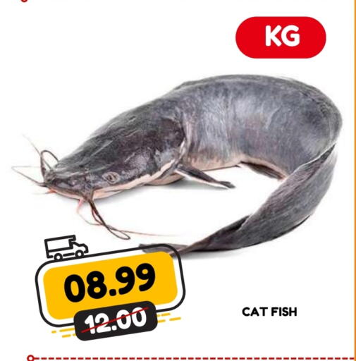 available at رويال جلف هايبرماركت in الإمارات العربية المتحدة , الامارات - أبو ظبي