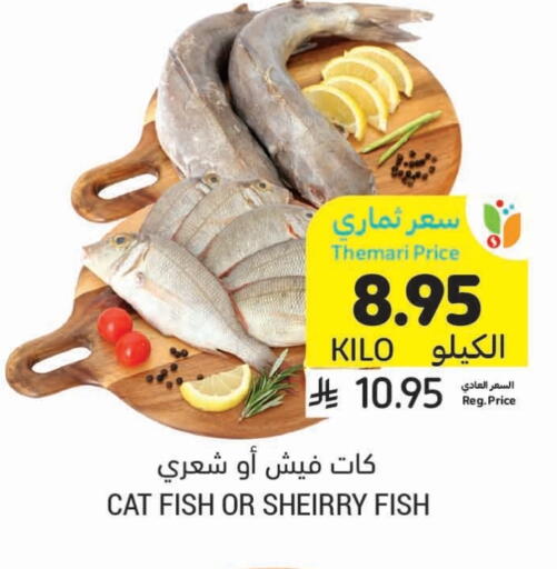 available at Tamimi Market in KSA, Saudi Arabia, Saudi - Al Hasa