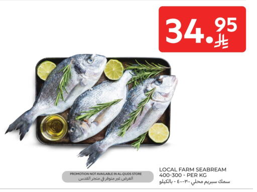 available at Carrefour in KSA, Saudi Arabia, Saudi - Al Khobar