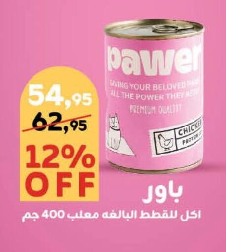 Pets in Mahmoud El Far, Egypt Offers - Egypt available at Mahmoud El Far in Egypt - Cairo