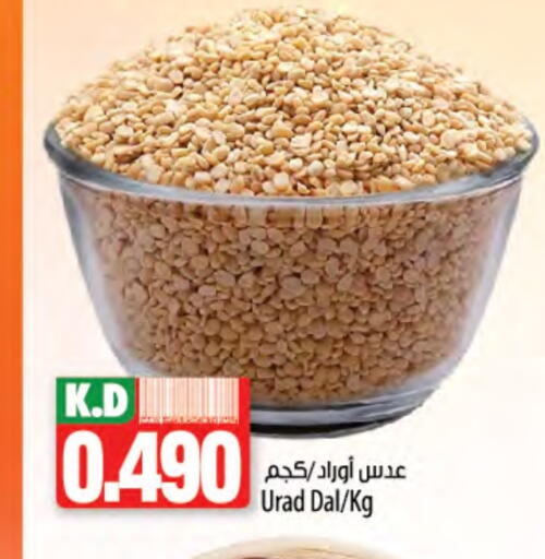 Mango available at مانجو هايبرماركت in الكويت - محافظة الجهراء