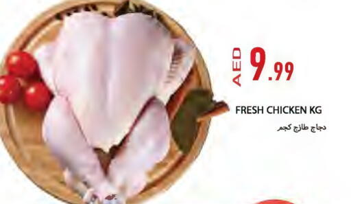Fresh Whole Chicken available at Rawabi Market Ajman in UAE - Sharjah / Ajman