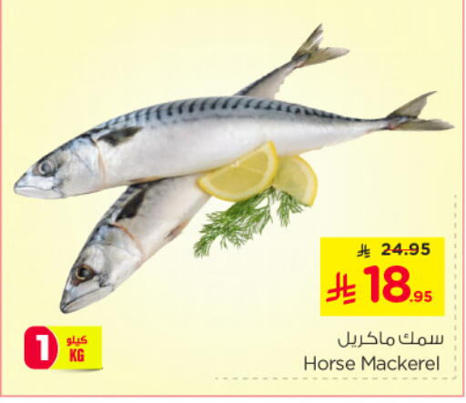 available at نستو in مملكة العربية السعودية, السعودية, سعودية - الخرج