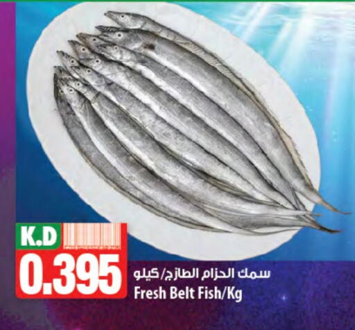 Mango available at مانجو هايبرماركت in الكويت - محافظة الأحمدي