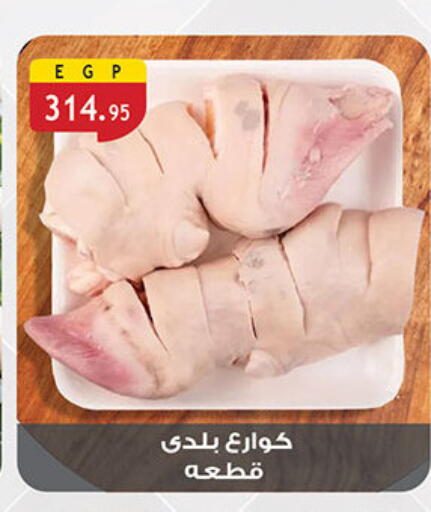 available at Al Rayah Market   in Egypt - Cairo
