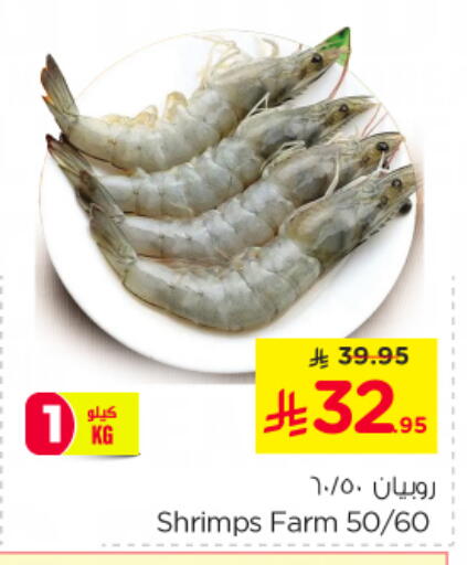 available at نستو in مملكة العربية السعودية, السعودية, سعودية - الخرج