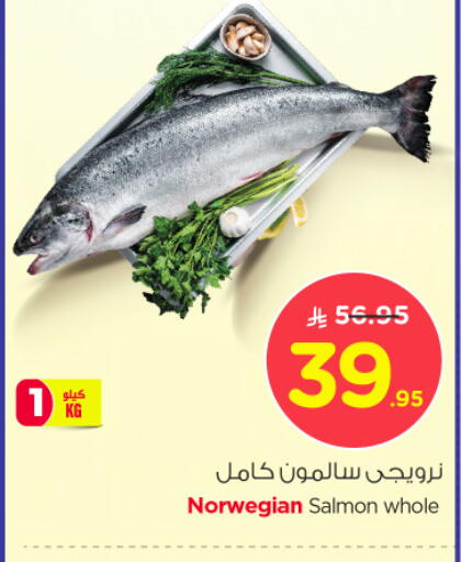 available at نستو in مملكة العربية السعودية, السعودية, سعودية - الخرج